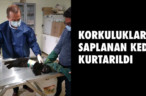 KORKULUKLARA SAPLANAN KEDİ KURTARILDI