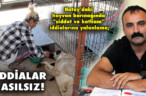 İDDİALAR ASILSIZ!