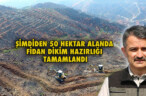 ŞİMDİDEN 50 HEKTAR ALANDA FİDAN DİKİM HAZIRLIĞI TAMAMLANDI