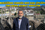 EMEKLİLİĞİNDE KURDUĞU DEVE KUŞU ÇİFTLİĞİYLE YURT DIŞINA AÇILMAYI HEDEFLİYOR