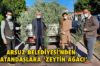 ARSUZ BELEDİYESİ’NDEN VATANDAŞLARA ‘ZEYTİN AĞACI’