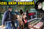 ÖZEL EKİP ENSELEDİ