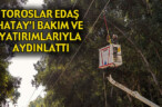 TOROSLAR EDAŞ HATAY’I BAKIM VE YATIRIMLARIYLA AYDINLATTI
