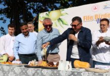 EN KEYİFLİ NARENCİYE HASADI