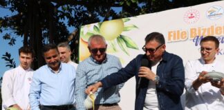 EN KEYİFLİ NARENCİYE HASADI