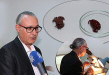 AKDENİZ’DE YENİ YENGEÇ TÜRÜ TESPİT EDİLDİ